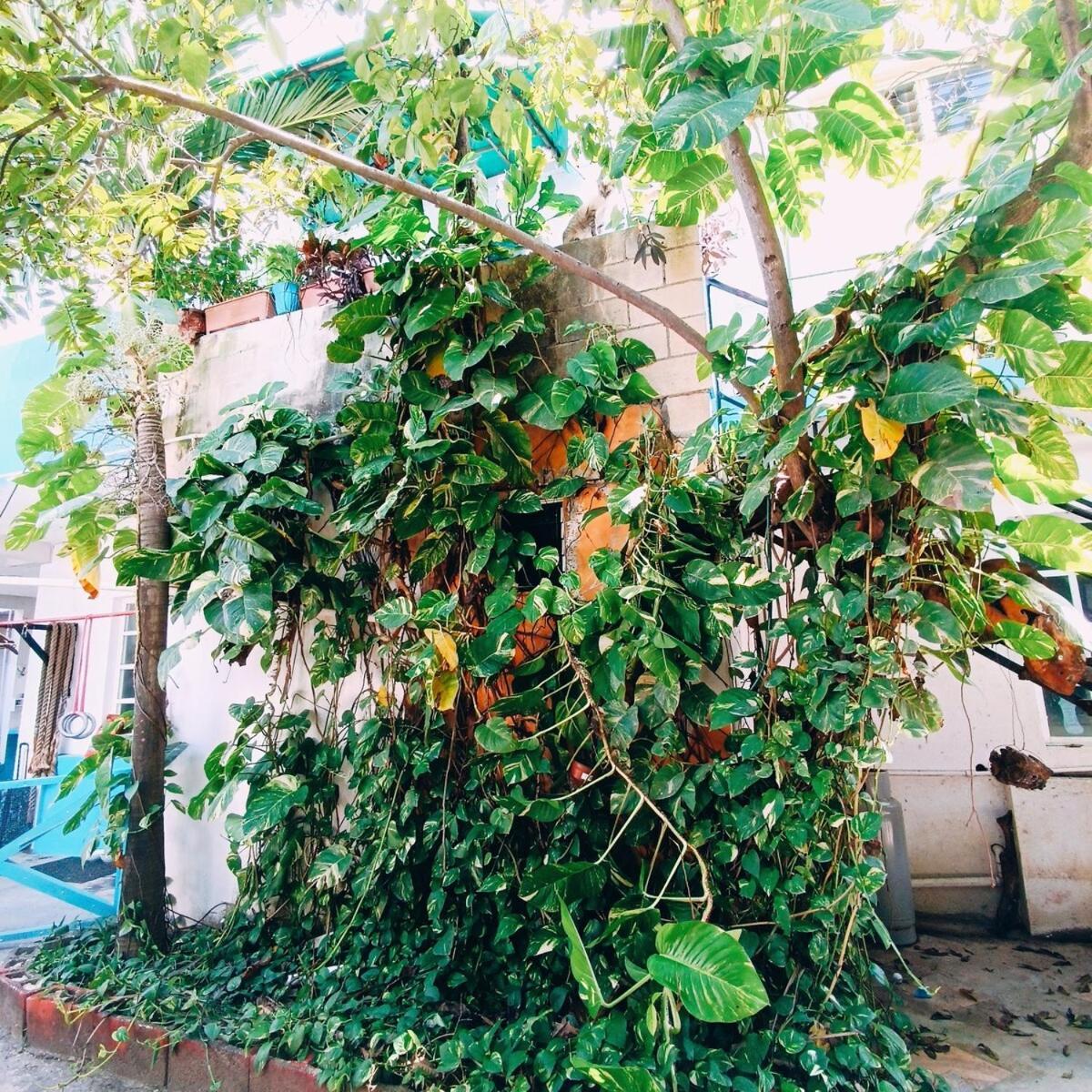 Casa Turquesa